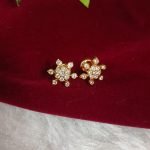 Impon Earrings